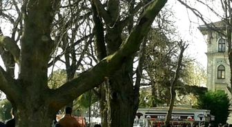 Sultanahmet'te can pazarı, Patlama bölgesinden görüntüler