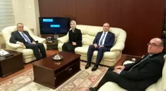 Vekil Kırcı'nın Gündemi Onyedi Eylül Üniversitesi