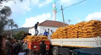 Büyükşehir'in Çiftçilere Desteği Devam Ediyor