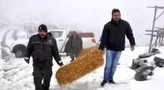 Osmaniye'de Yaban Hayvanları İçin Doğaya Yiyecek Bırakıldı