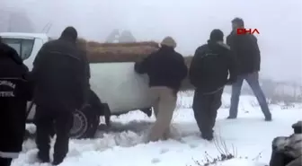 Osmaniye'de Yaban Hayvanları İçin Doğaya Yiyecek Bırakıldı