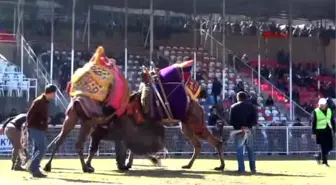 Antalya Develer Mobese İçin Güreşti