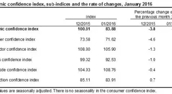 Economic Confidence İndex Falls Again İn January