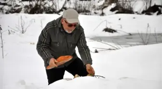 Avcılar Bu Sefer Avlamak İçin Değil, Yemlemek İçin Dağlarda