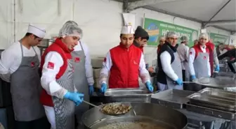 Hamsi ve Horon Festivali'nde 5 Ton Hamsi İkram Edildi