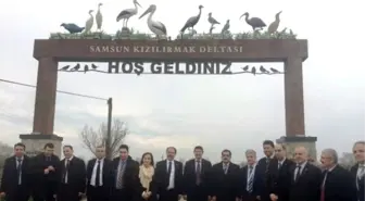 Doğaya Sülün Saldılar