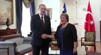 Erdoğan-Bachelet Görüşmesi (2)