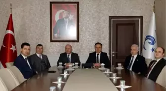 Denetim Serbestlikte Kamu Hizmeti Protokolü