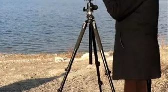 Göller Buz Tuttu, Kuşlar Başka Yere Göç Etti