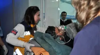 Ördek Avına Gitti, Kendisini Vurdu