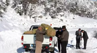 Yaban Hayatı İçin Doğaya Yem Bırakıldı