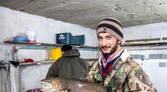 Alabalıkların 'Sağım' Aşaması Şaşırtıyor