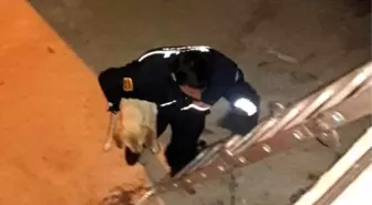 Dere Yatağına Düşen Yavru Köpeği İtfaiye Kurtardı