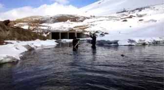 Dicle Nehri'nin En Önemli Kolu Çatak Çayı'nda Kirlilik Tehlikesi