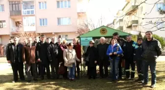 Odunpazarı'nda Sokaktaki Kediler İçin El Ele Verildi