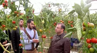 Vali Türker, Seraları İnceledi