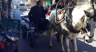 CHP'li Vekil, Kırmızı Plakayı Bırakıp At Arabasına Bindi