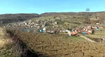 Kötü Tüccar Köylüyü Fabrika Sahibi Yaptırdı - Tekirdağ