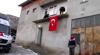 Sur'da Bordo Bereli Yüzbaşı Şehit Oldu