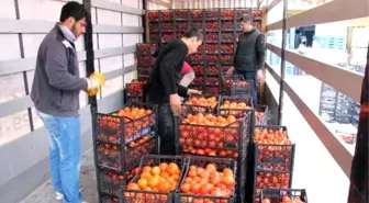 Kumluca'dan Bayırsucak Türkmenlerine Gıda Yardımı