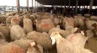 Besiciler Tavan Fiyat Uygulamasından Memnun