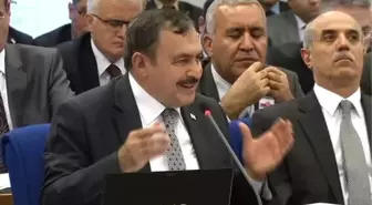 Eroğlu: 'Yeşil Yol'da, Ormanlık Alanda Kesilen Ağaç Sayısının Sadece 13'tür'