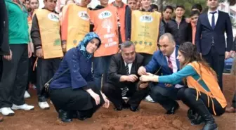 Yeşil Okulla Yeşil Kilis, Okulları Ağaçlandırma Projesi