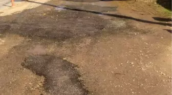 Alaşehir'de Çalışmalar Hız Kesmiyor