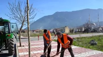 Şehzadeler Belediyesi'nden Ağaçlandırma Seferberliği