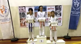 Analig Judoda Salihli Rüzgarı