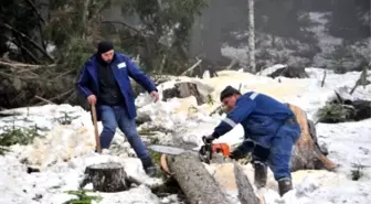 Cerattepe'de Çevrecilere Coplu ve Gazlı Müdahaleden Sonra, Maden Şirketi İşe Başladı