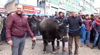 Boğacılar Derneği Üyeleri Madencilik Faaliyetini Protesto Etti