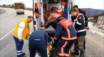 Sakarya'da Tır Karşıdan Gelen Tıra Çarptı: 1 Yaralı