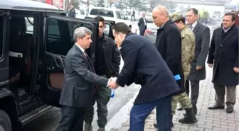 Vali Çınar Güroymak'ta İncelemelerde Bulundu