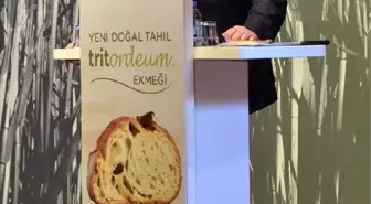 Buğday-arpa Melezi 'Tritordeum' Ekmeği Türkiye'de de Üretilecek