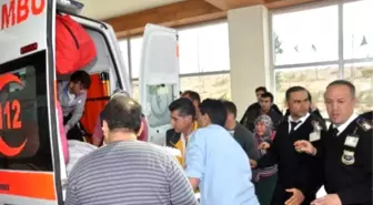 Karaman'da Köpek Kavgası: 1 Ölü, 1 Yaralı