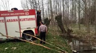 Dereye Düşen İnek Vinçle Kurtarıldı