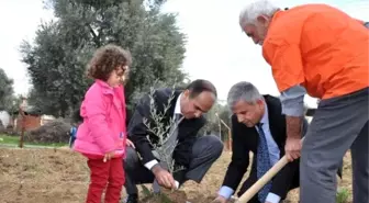 Nazilli'de Hakim ve Savcılardan Fidan Dikme Etkinliği