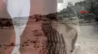 1. Dünya Savaşı Şehitlerinden Piyade Er Ahmet Oğlu Ömer Anıldı