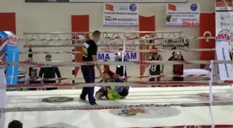 Kemer'de Mma Türkiye Seçmeleri ve Mma Elit Kemer Organizasyonu Başladı