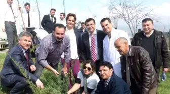 Alaşehir Devlet Hastanesi'nde 'Ağacına Sahip Çık' Kampanyası