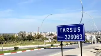 Tarsus'ta Kuduz Alarmı