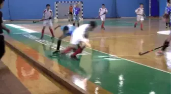 Salon Hokeyi 2. Lige Yükselme Müsabakaları