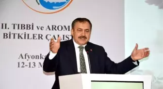 Orman ve Su İşleri Bakanı Prof. Dr. Veysel Eroğlu Afyonkarahisar'da