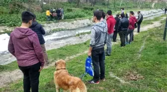 Köpekleri Uğruna Dereye Atladılar