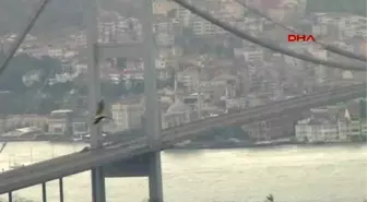 Köprünün Kapandığı Dadikalarda Altunizade'de Trafik...