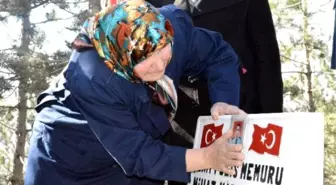 Şehit Annesi, Mezar Taşının Üzerinde Oğlunun Fotoğrafını Sevdi