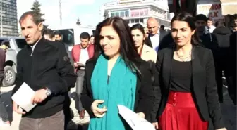 Van'da Nevruz İçin Bildiri Dağıtıldı