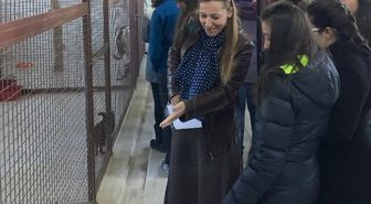 Bilkentli Öğrenciler, Hayvan Barınağı'nı Gezdi