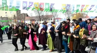 Tatvan'da Nevruz Kutlaması